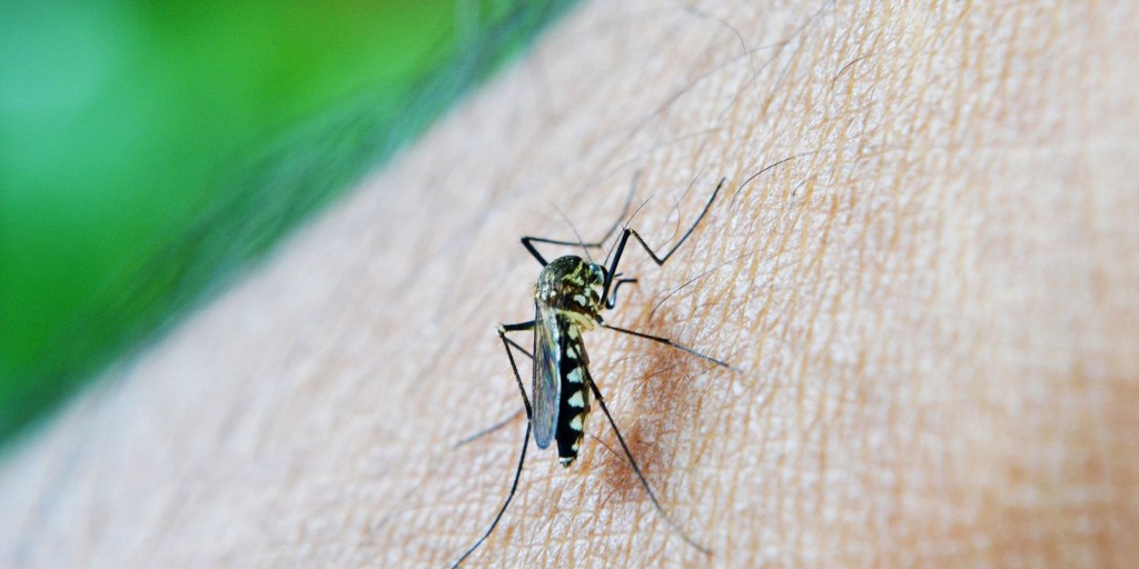 Número de casos de dengue cai em Cuiabá, aponta boletim