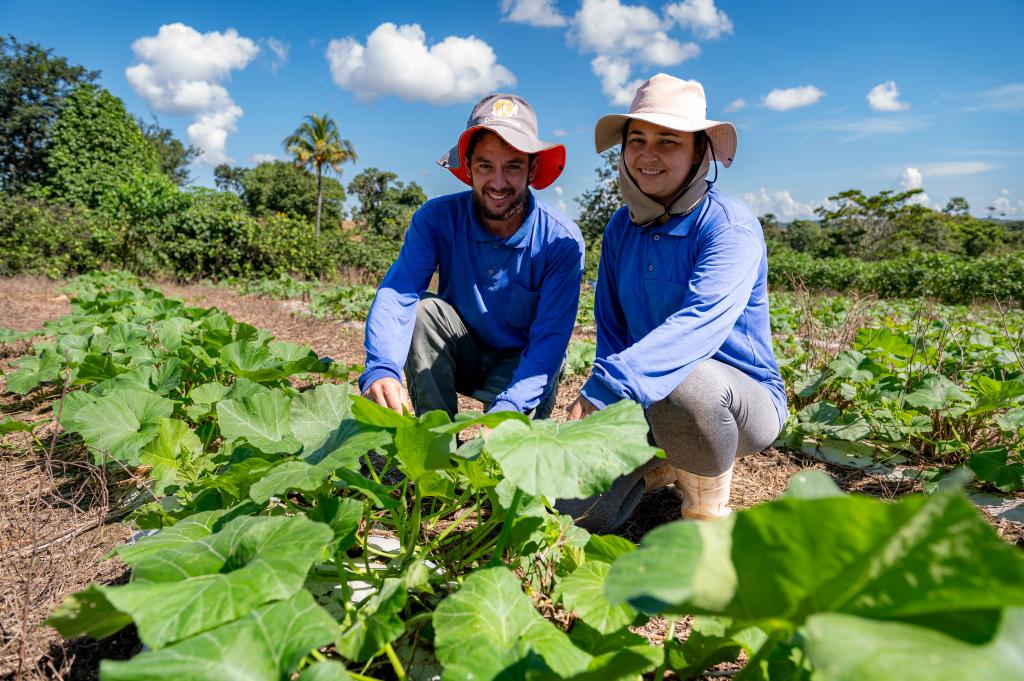 Governo de MT investiu R$ 720 milhões na agricultura familiar
