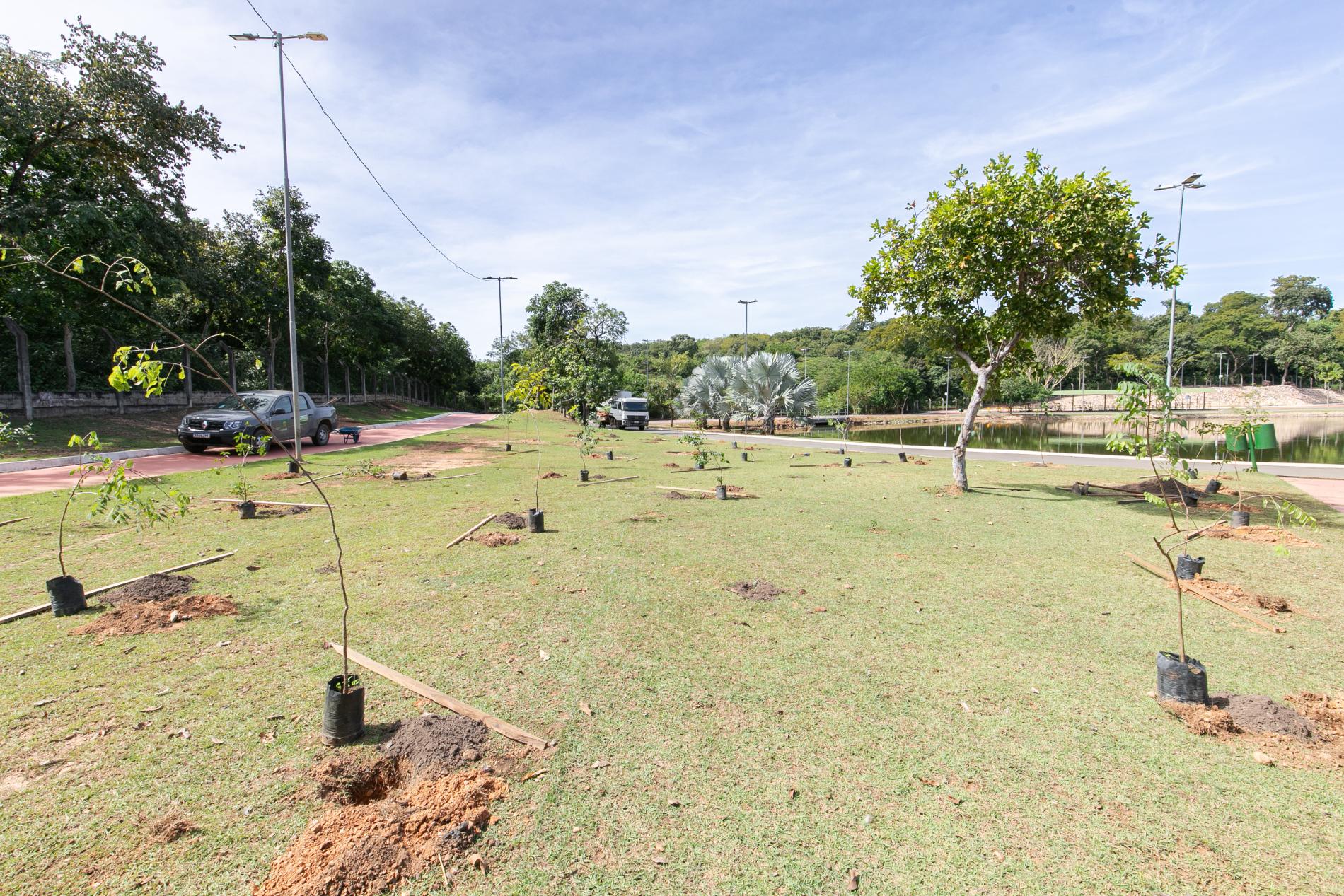 Parque das Águas recebe 200 mudas de espécies nativas