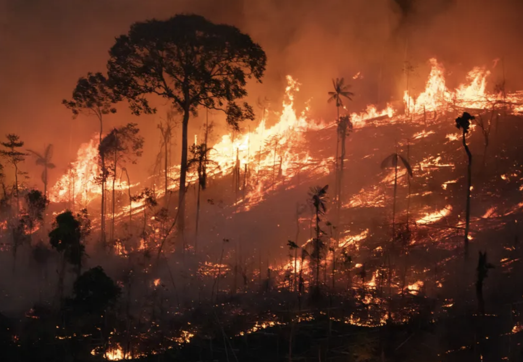 Amazônia tem pior agosto de queimadas dos últimos 12 anos