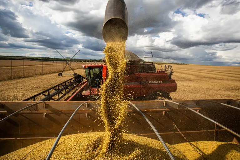 Mato Grosso amplia área produtiva e produtividade e chega a 111,9 milhões de toneladas de grãos na safra 2425