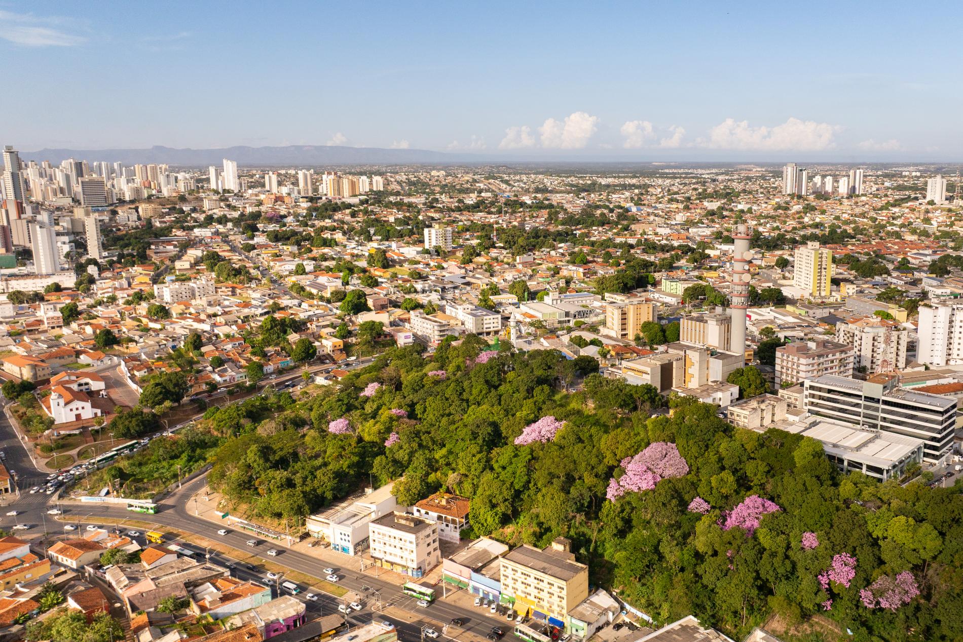 Há 200 anos Dom Pedro I previa criar um jardim botânico na região do Morro da Luz