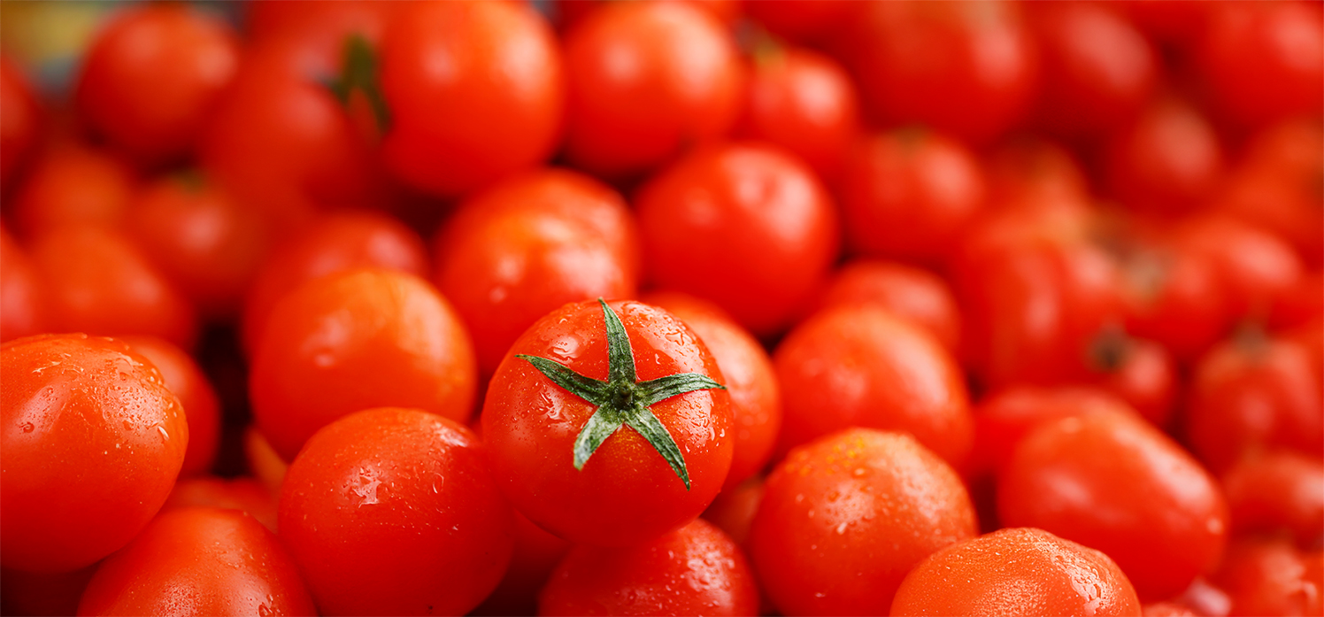 Tomate interfere novamente no custo da cesta básica em Cuiabá; dessa vez, ficando mais caro