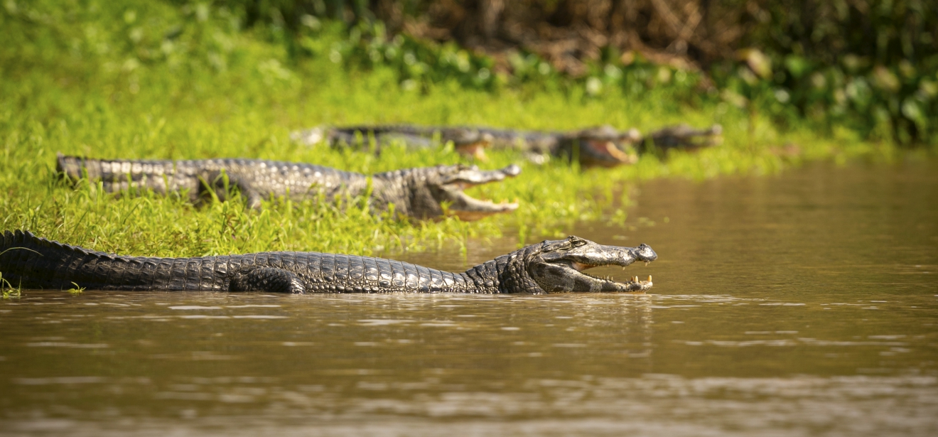 Feirão Fit Turismo oferece descontos de até 20% em viagens por Mato Grosso